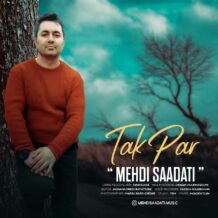 دانلود آهنگ جدید مهدی سعادتی به نام تک پر